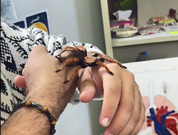 اضغط لتشغيل الفيديو